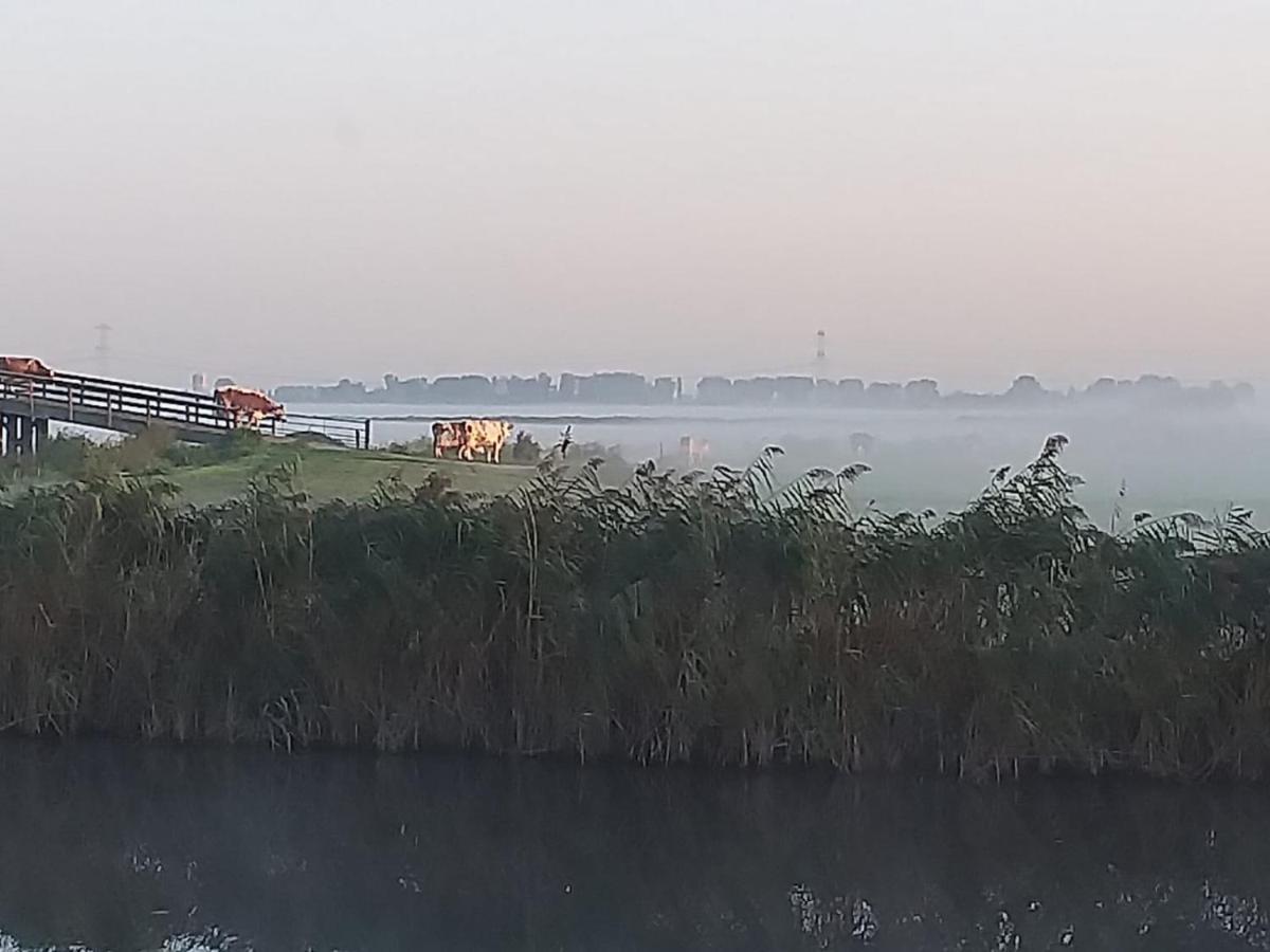 Huisje Aan Het Water, Omgeving Amsterdam Vila Zaandam Exterior foto